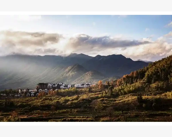 中年脸上起斑怎么调理？吃什么好？